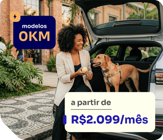 pecas-estaticas-assinaturas-0km-onix-premiere-v2-horizontal (12)